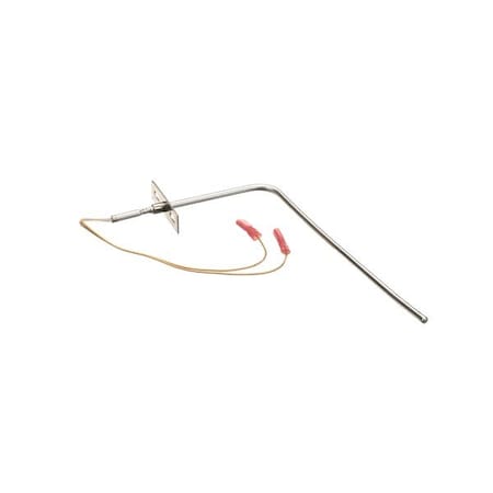 Blodgett Probe, Rtd 1000 Ohm (Iq2 -Pro3) 37519